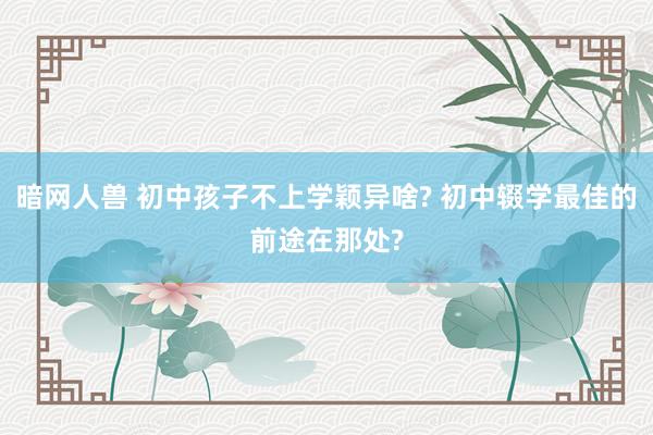 暗网人兽 初中孩子不上学颖异啥? 初中辍学最佳的前途在那处?