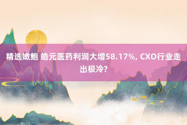 精选嫩鲍 皓元医药利润大增58.17%， CXO行业走出极冷?